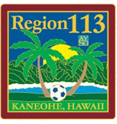 Region 113
